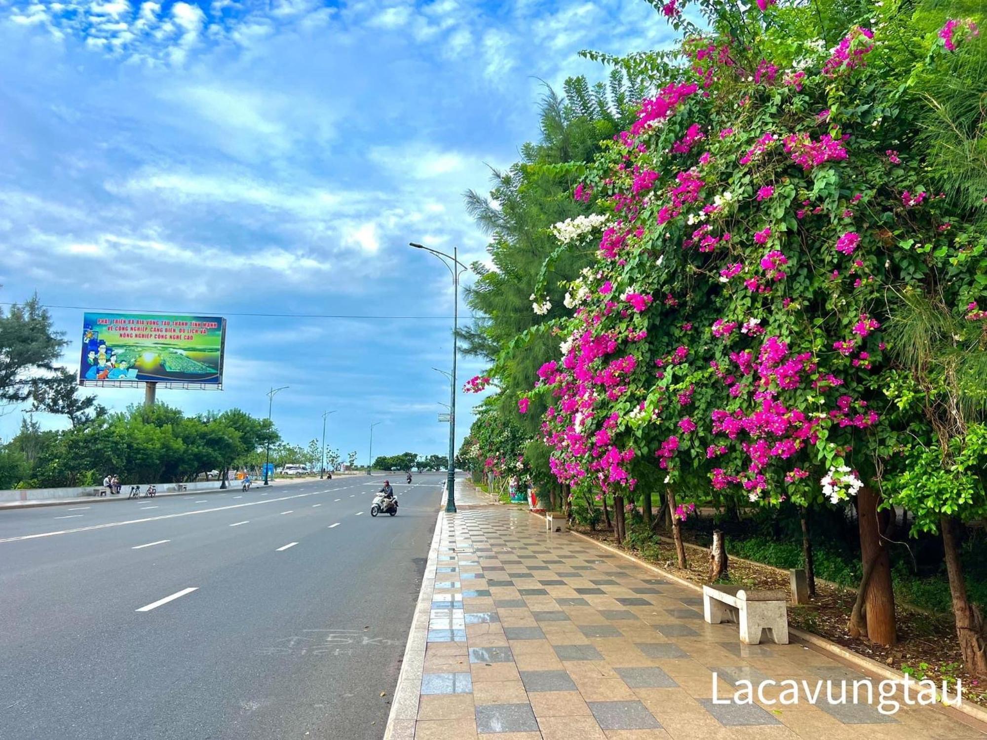 The Song Remy Apartment Vung Tau Exterior photo